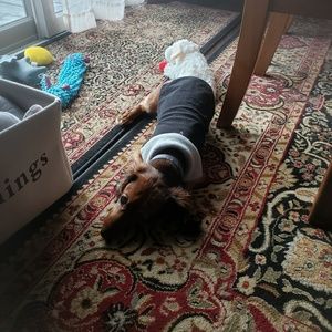 Meet your Posher, Cassie